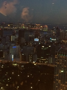 Tokyo at night- you can see the Rainbow Bridge in the background.